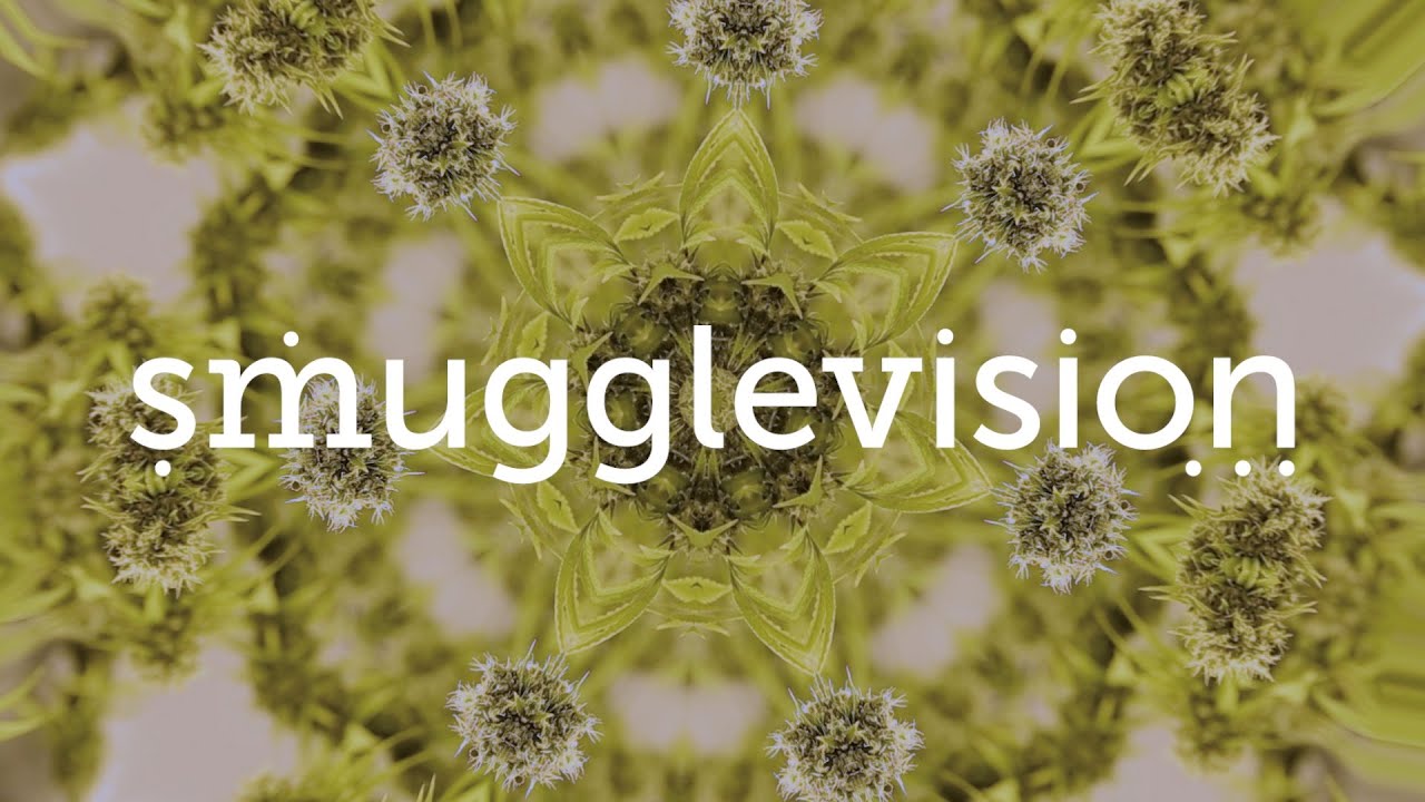 SmuggleVision - The First Online TV Channel Documenting Oregon's Historic New Pot Era.