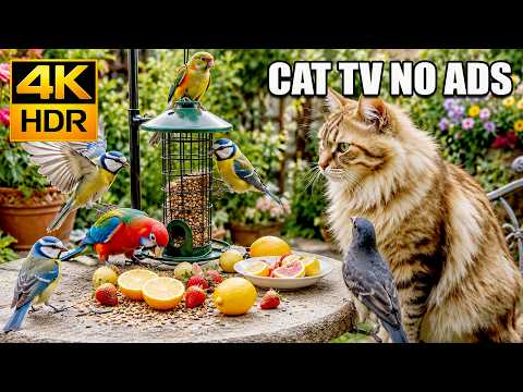 Peaceful Cat TV 😺 Bright Birds Gliding Over Garden Flowers 🐦 8 Hours No Ads