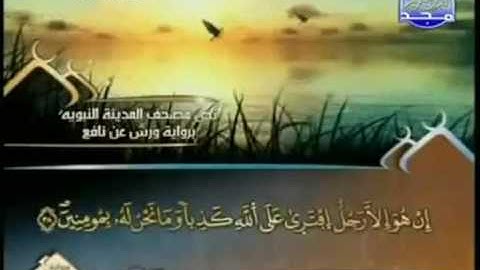 القران الكريم|الجزء الثامن عشر (18)|الشيخ العيون الكوشي HOLY QURAN|PART 18|  Al Ayoune Al Kouchi