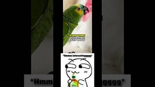 Its cute #funniestvieo023 #funny #StandUp #LOL #MustWatchShorts #ForYouPageShorts #ShortVideoContent