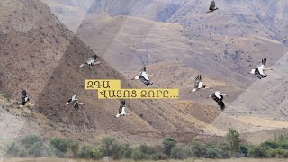 Step To Vayots Dzor Armenia