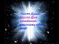 Число Души от 1 до 9ки.  Что оно отражает в нашем поведении? вебинар 2 часть. Елена Штоль.