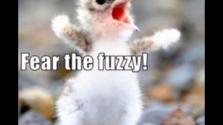Funny Birds Stealing Stuff Compilation