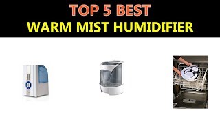 Best Warm Mist Humidifier 2020