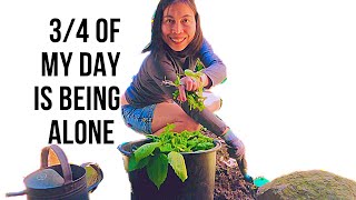 What’s on your mind when you see the clear blue sky? Me? GARDENING!