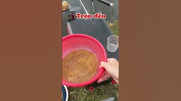 Cách trộn mồi xả câu đài dễ nhất  #cauca #caudai #moicauminhkhoi