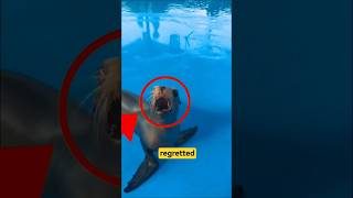 He really thought he was getting a haircut! 💀 #sealions #animals #shorts