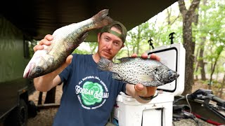 Crappie vs Bass Catch Clean &amp; Cook