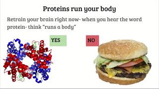 AP B- Organic chemistry Biochemistry - Google Slides