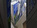 Video Image