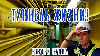видео: Туннель жизни - Passage way! Внутри судна или ТУС! (Теория устройства судна) картинка: Туннель жизни - Passage way! Внутри судна или ТУС! (Теория устройства судна)