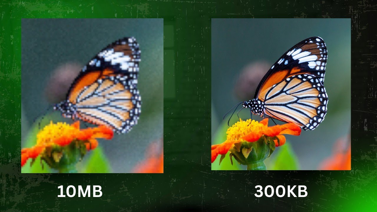Image Size vs Image Quality – Biggest Editing Myth Explained | Photoshop #3 