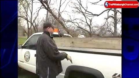 High Winds Bring Down Branches, Power Lines