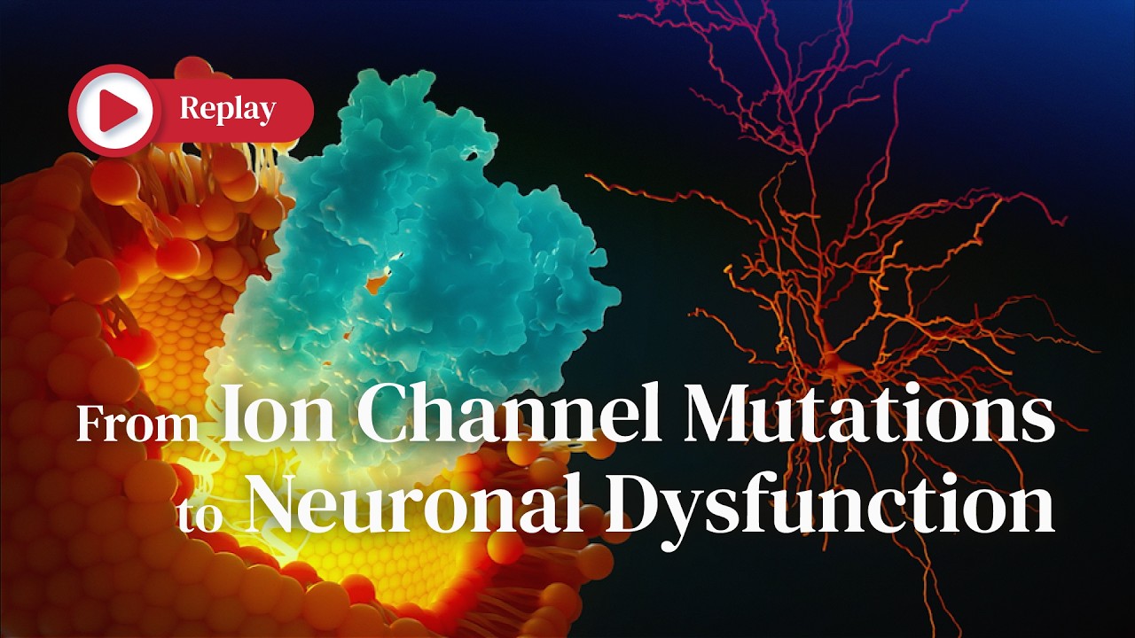 From Ion Channel Mutations to Neuronal Dysfunction | Open Brain ...
