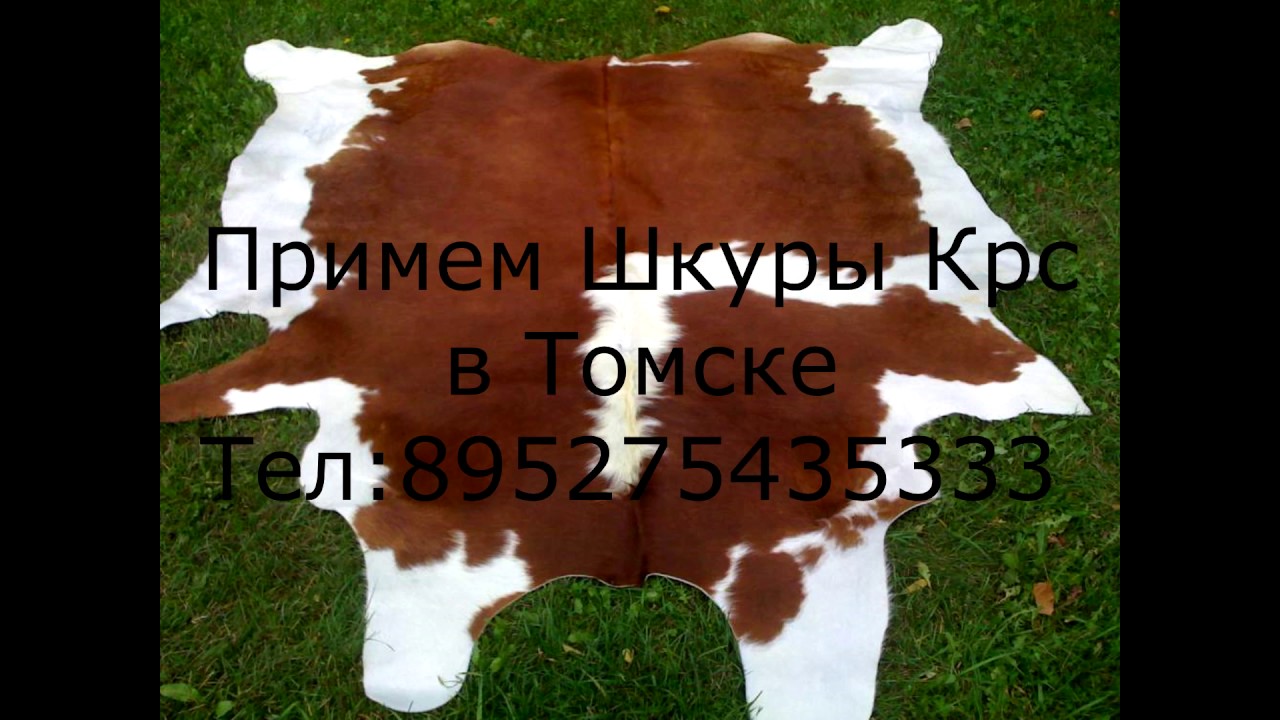 Домашняя Шкура Вк