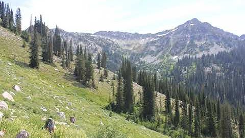 Ep. 5: Ryan Pierce on the work of Signal Fire, an organization that unites art, activism and the...