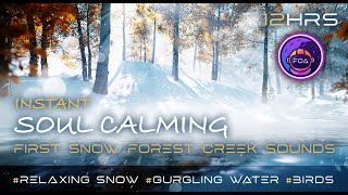 ❄️🏞 INSTANT SOUL CALMING First Snow Winter Forest Creek Sounds