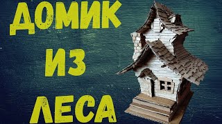 Домик из леса / Cardboard