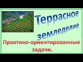 ОГЭ. Задание 1-5. Урожайность с террасированных участков.