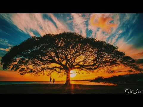Charlie Puth - Attention (lyrics)