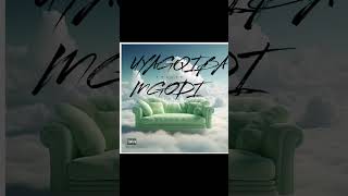 Uyagqiba Mgodi (official audio)