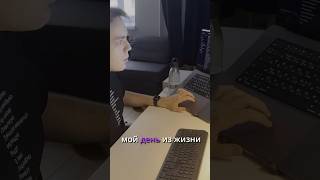 День из жизни айтишника