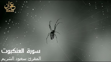 سورة العنكبوت - المقرئ الشيخ سعود الشريم - Saoud Al Sharim - Al-Ankabut