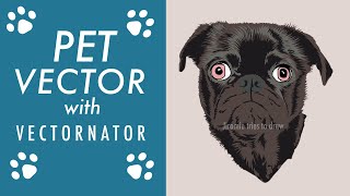 Vector: Pet Portrait Illustration with Vectornator Tutorial: Speed Art