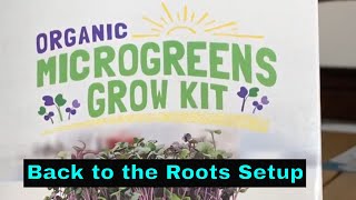 Back to the Roots Organic Microgreens Grow Kit Setup