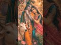 🌸 राधे कृष्ण भजन 🙏 मन को शांति देने वाला मधुर भजन | #bhaktisong#Radhe Krishna Bhajan #shorts
