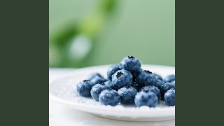 Ladang Tentang Kenangan