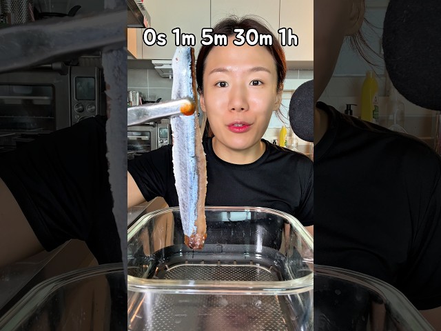 과메기 가장 맛있는 시간 #mukbang