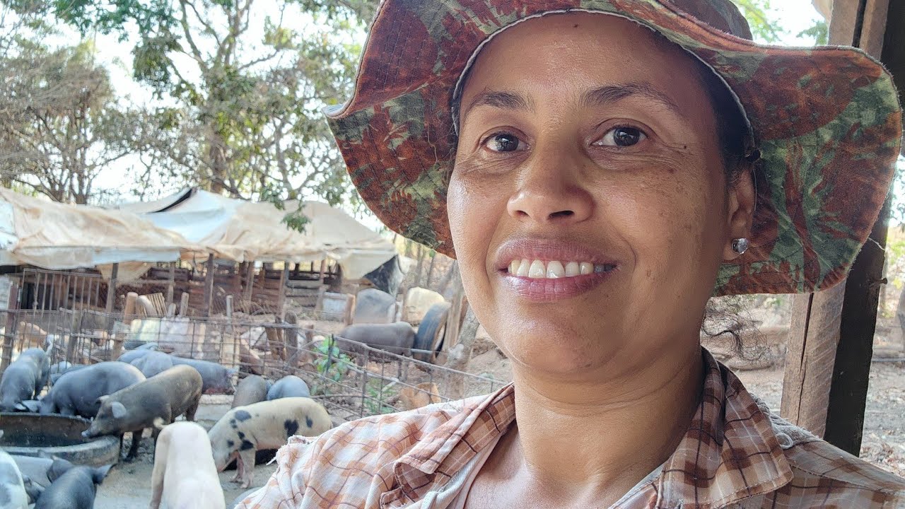  VIDA NA ROÇA E PRODUÇÃO SUSTENTÁVEL! Porquinhos  e Mandioca.