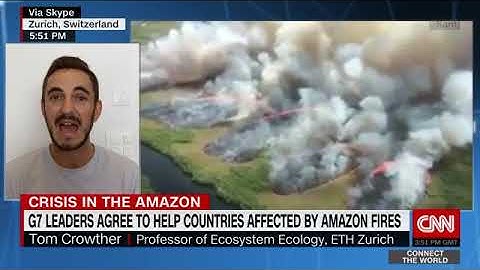 How Is Climate Change Related to the Amazon Forest Fires? | CNN Interview with Tom Crowther