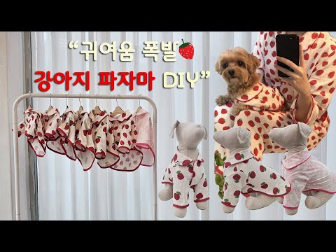 “귀여움 폭발💥 미싱으로 완성하는 강아지 딸기잠옷” 강아지 파자마만들기