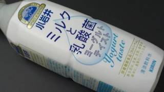 小岩井 ミルクと乳酸菌 ヨーグルトテイスト 500ml