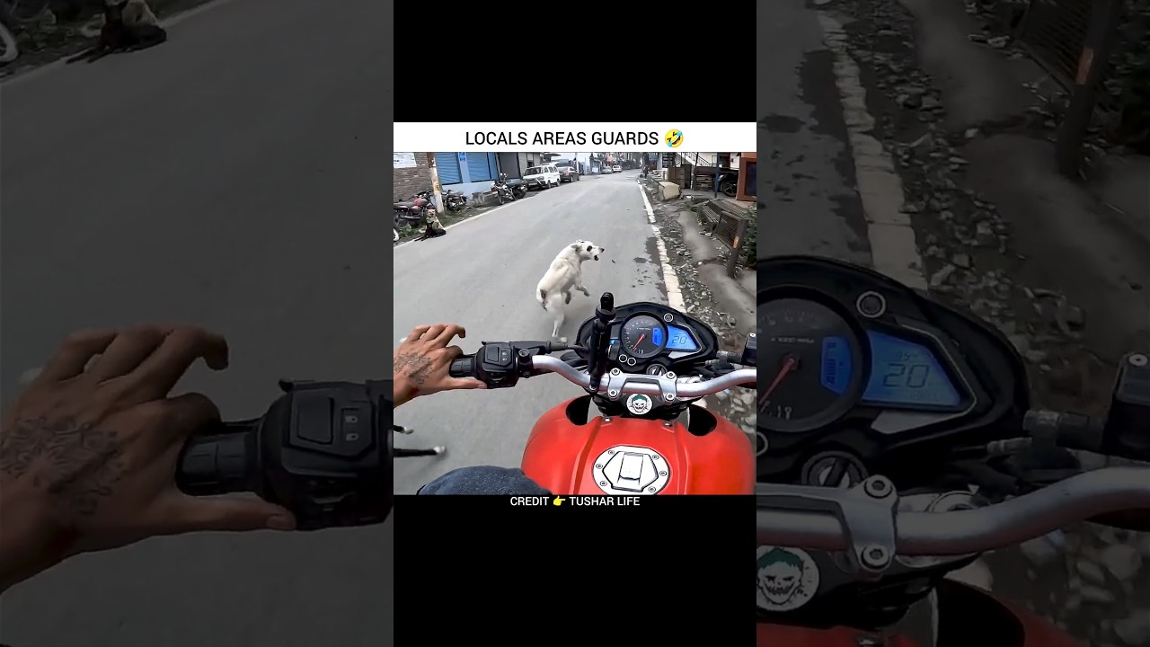 Dog Attack 💀 #gulshanmotovlogs