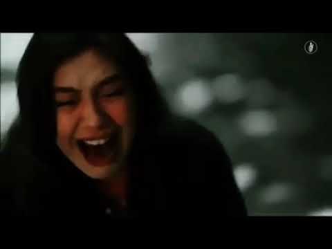 صلاح البحر توسلت بيك 