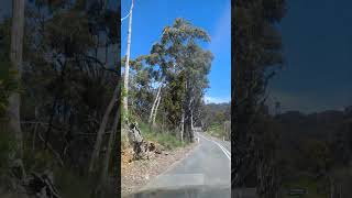 Adelaide hills road #lifeisbutadream #nature
