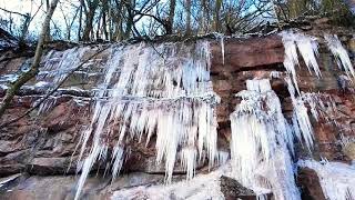 In der Natur: Die Eiszapfen-Apokalypse 