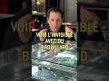Ref:MSmtTD4mwMs Voir l'invisible avec du brouillard (vid�o n�437)
