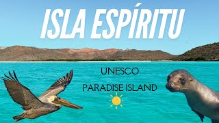 Is Isla Espíritu Santo Mexico’s Most Beautiful Island? 🇲🇽 La Paz