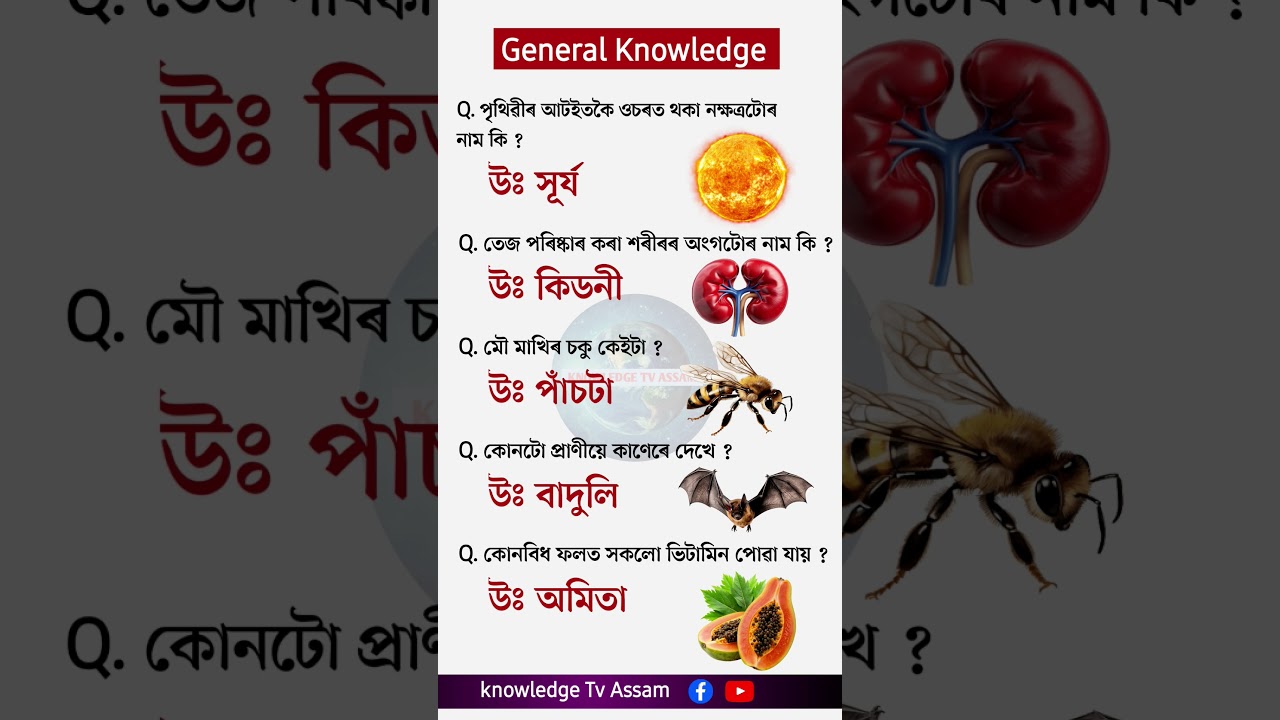 Assamese Gk 