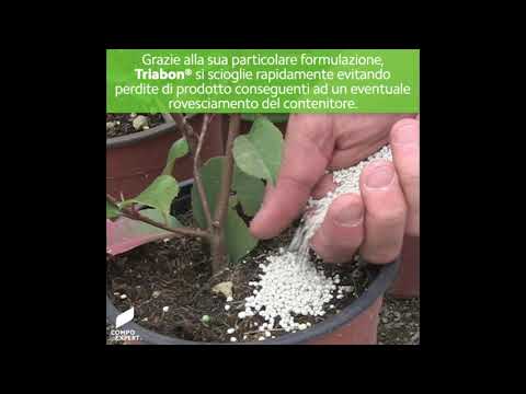 Concime a lento rilascio Triabon