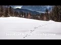 [No Copyright Music] Nature Sounds:Crunchy snow. Relaxation, meditation, sleep sounds.