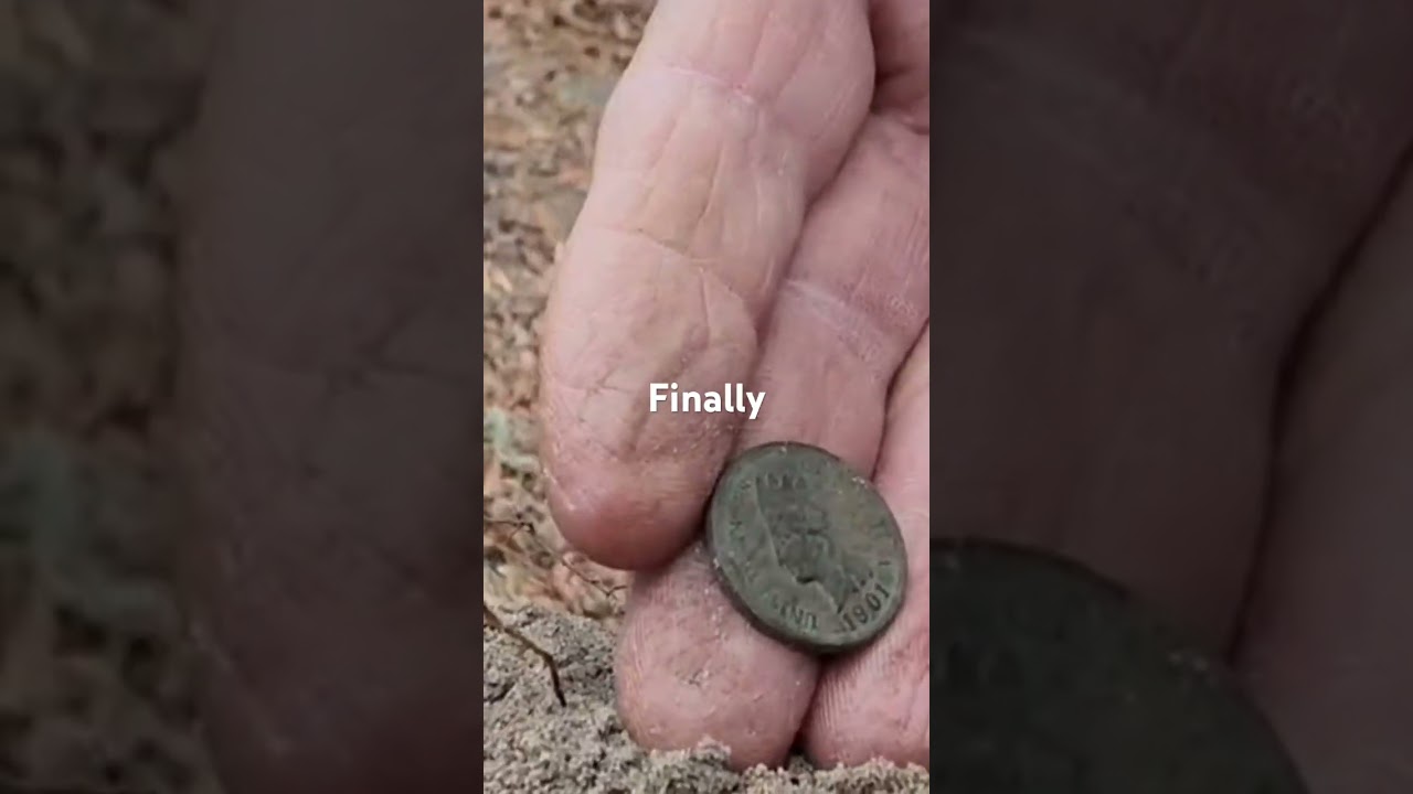 Soldiers Freedom Outdoors! FL Hunt 11. 