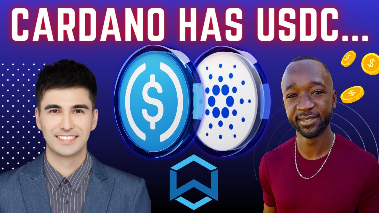 USDC Is Already LIVE On CARDANO - Wanchain & USDC DEEP Dive!