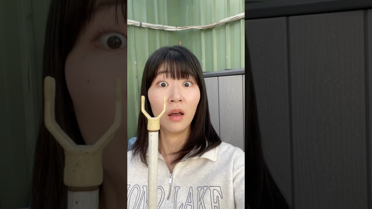 日本人第一次知道台灣曬衣服的方式時 縮圖