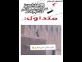 مقطع طريف في مديرية ⁧‫بيحان‬⁩ محافظة ⁧‫#شبوة‬⁩‏قط يحاول تمزيق علم الانفصال ⁧‫#الانتقالي‬⁩ و إسقاطه.