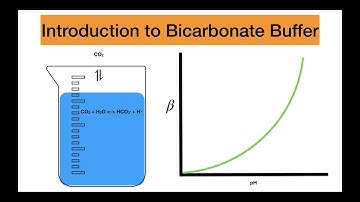 Intro to Bicarbonate Buffer System
